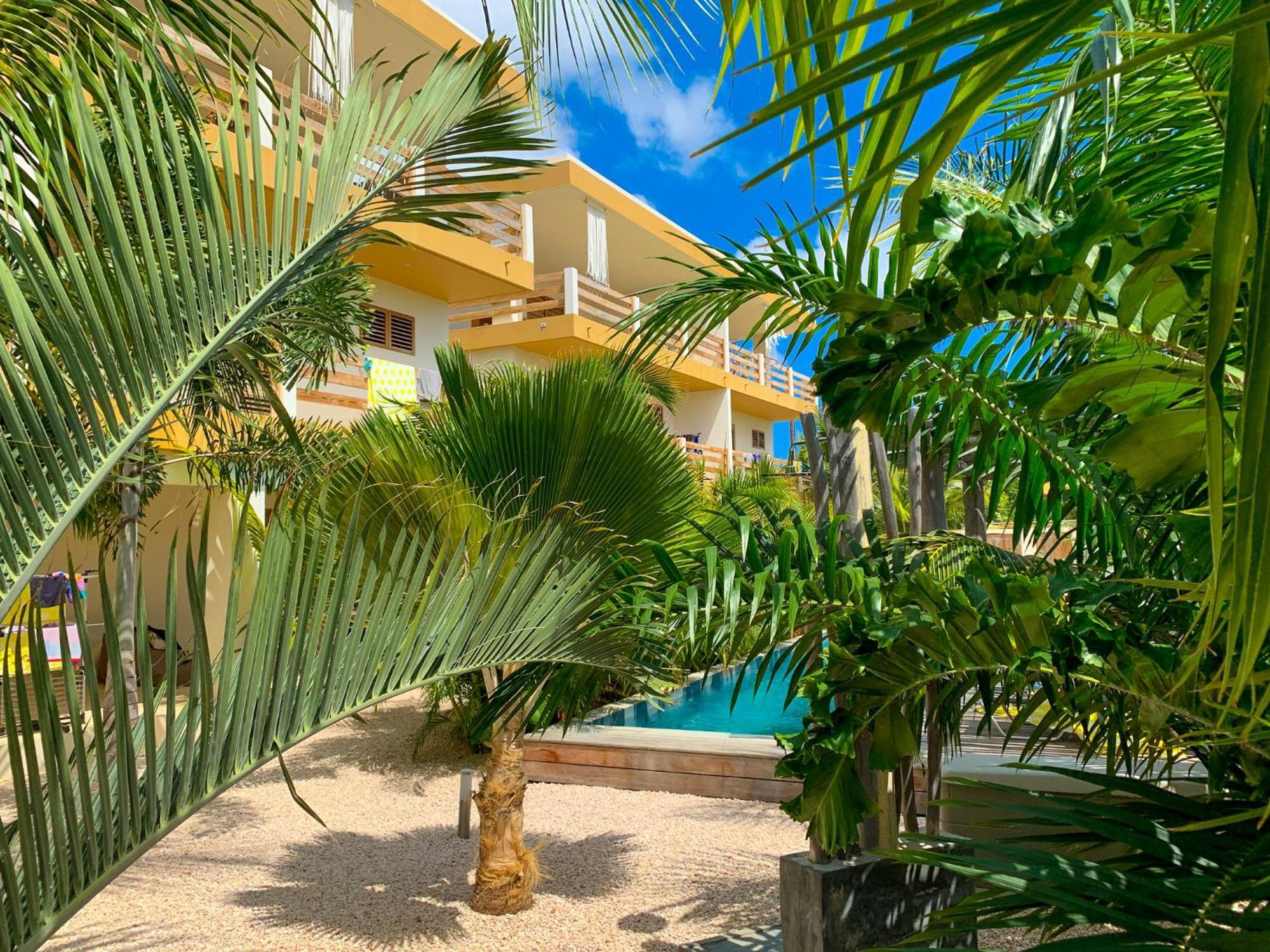 Isla Penthouse & Garden Apartments Bonaire Playa Exterior foto
